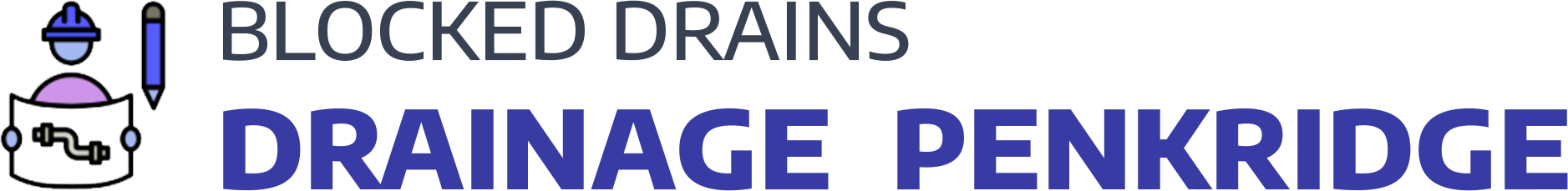 website logo